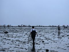 -仙人岛风景区