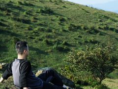 -大姆山草场