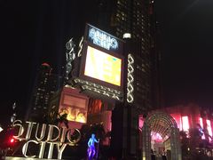 -影汇之星8字形摩天轮