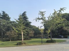 -上海汽车会展中心