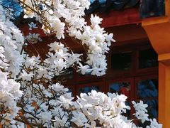 -东湖生态旅游风景区