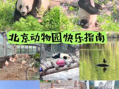 -北京动物园