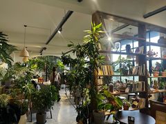 -南山植物园