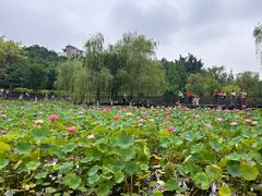 -沐仙湖湿地公园