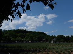 -富田农场