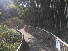 -汇龙潭