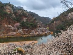 -崂山九水游览区