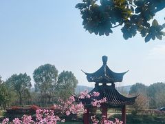 -冶父山国家森林公园