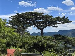 -圣莲山风景区
