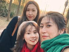 -黄海国家森林公园