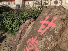 -长春观