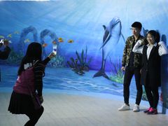 -泉州海丝野生动物世界