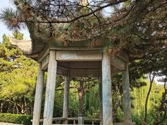 -团结湖公园