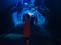 -迪拜水族馆及水下动物园