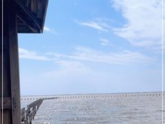 -哈素海