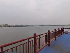 -鹅湖玫瑰文化园