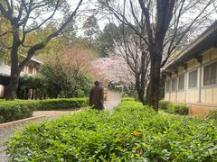 -庐山风景名胜区-东林大佛