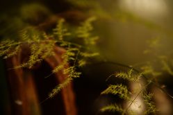 店内环境-老黑造型