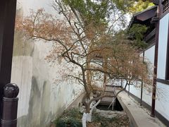 -常熟方塔园