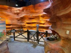 -酷嗒动物文化乐园(cutezoo西溪乐天城店)