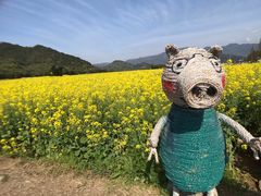 -新建村梅花