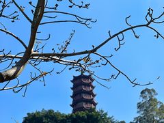 -南沙天后宫景区
