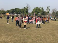 -田园东方蜜桃村的田野营地