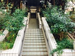 -香港大学