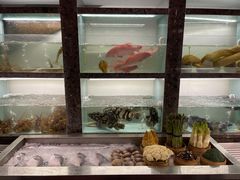 -甄御•海鲜新青岛菜(麦岛店)