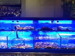 -索菲特酒店 · 云尚天际自助餐厅