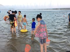 -碧海金沙