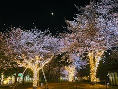 -天王寺公园