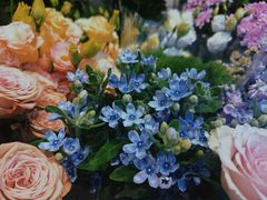 -爱尚幸福鲜花(上地实体店)