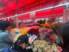 -越秀西湖花市(广州城市广场花卉店)