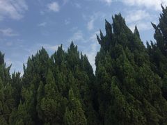 -南沙蒲洲花园
