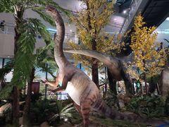 -湖南省地质博物馆