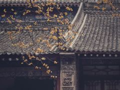 -西安大兴善寺