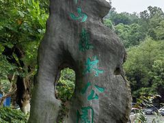 -板樟山森林公园