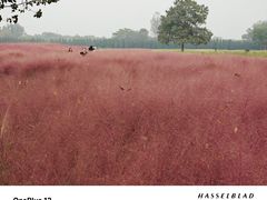 -汉长安城未央宫国家考古遗址公园