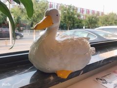 -民福居烤鸭店(石榴庄店)
