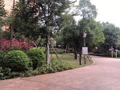 -美的鹭湖探索王国