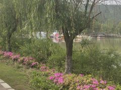 -龙寺生态园