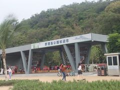 -野狸岛