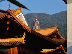 -深圳仙湖植物园