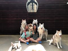 -TrueLove @ Neverland (Husky Cafe)