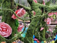 -洛阳白云山景区