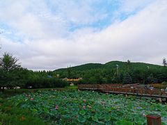-六鼎山文化旅游区