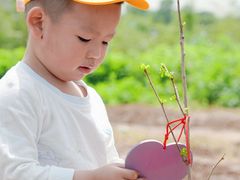 -魔力熊儿童早教托育中心(硚口同馨店)