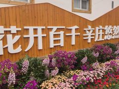 -辛庄国际文化艺术区