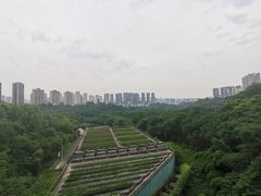 -重庆彩云湖湿地公园